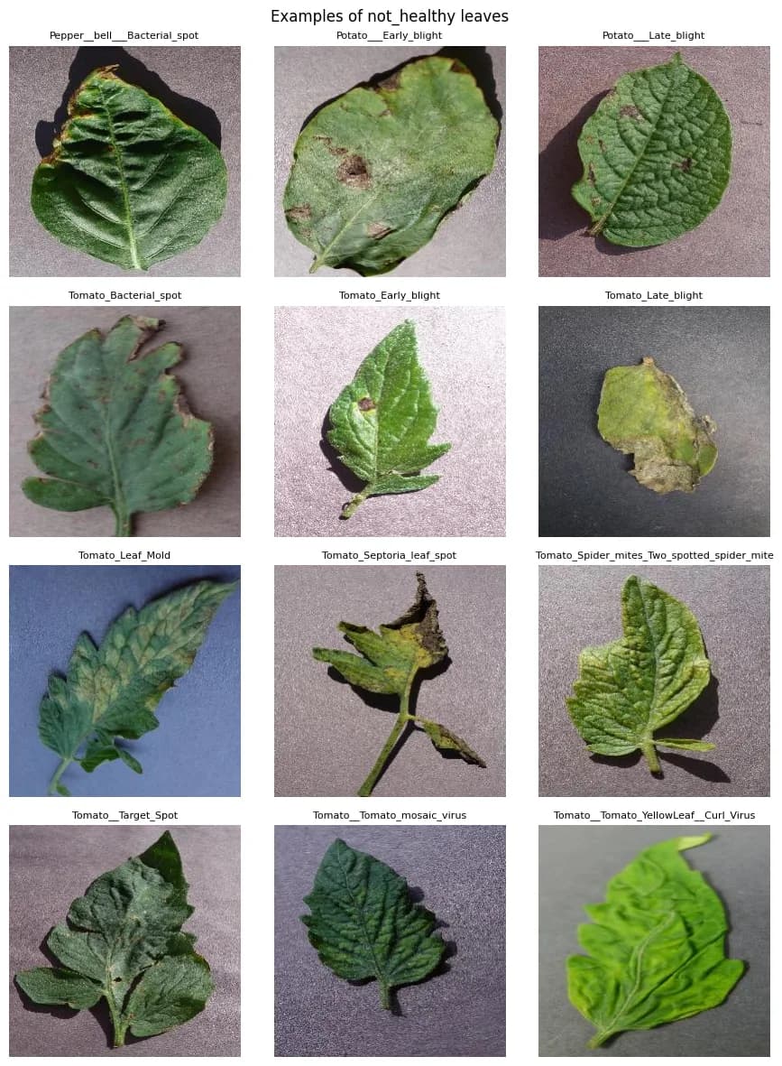 PlantVillageML project preview showing plant disease classification